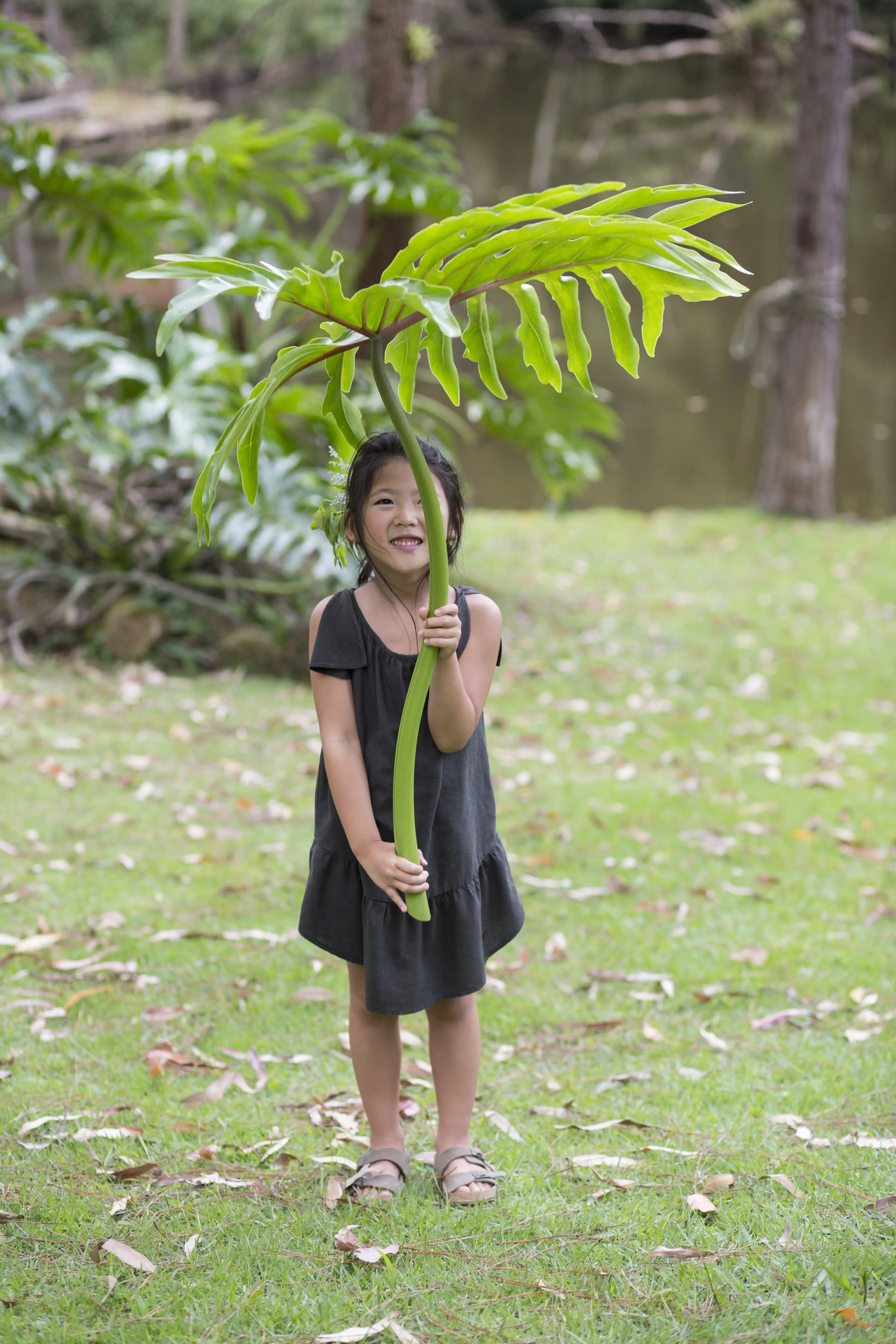Campanhas e Editoriais 18 - Casa Ventura