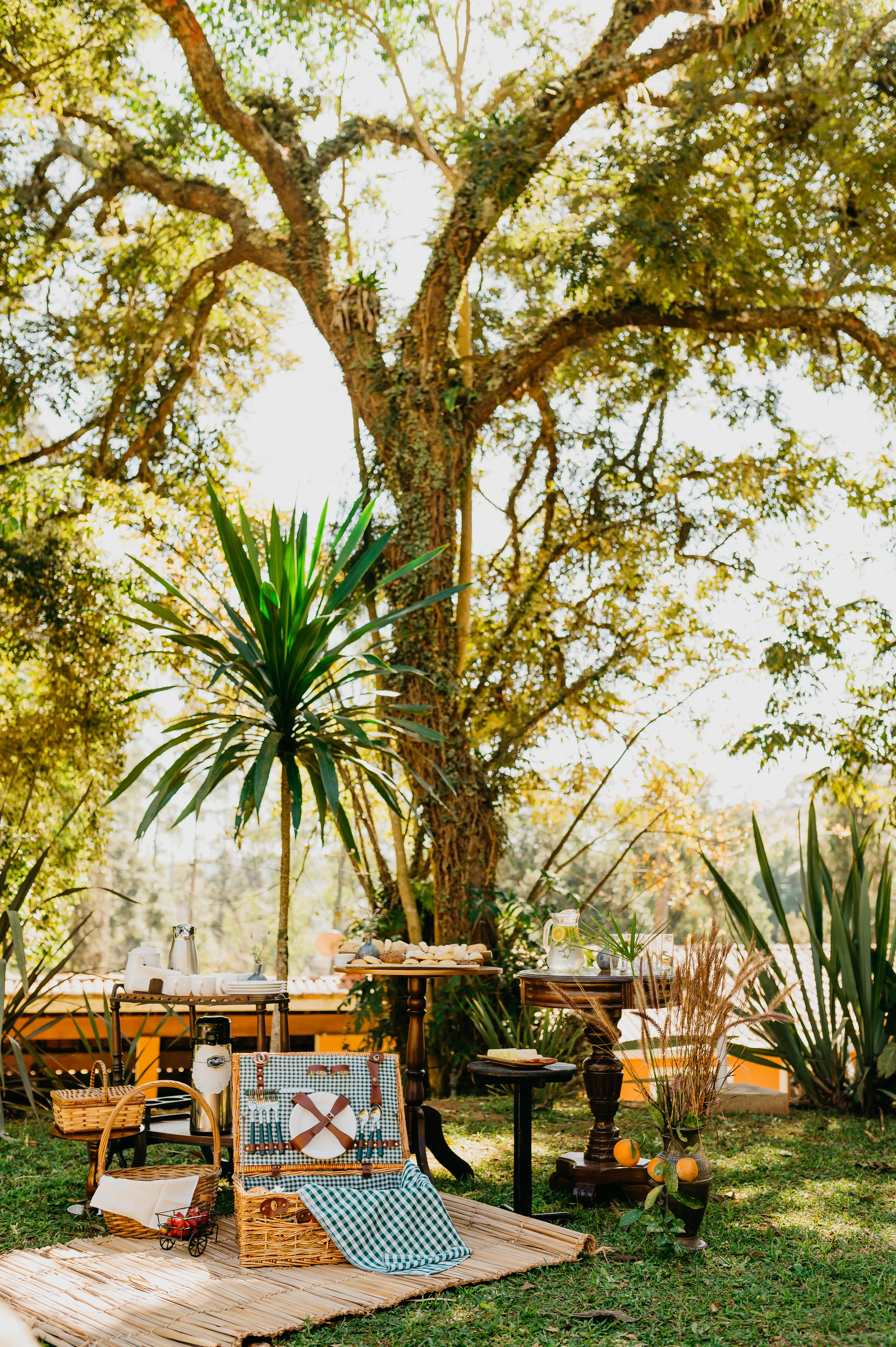 Festas e Celebrações 55 - Casa Ventura